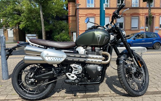 Neufahrzeug Triumph Scrambler 1200 X - Bild 1