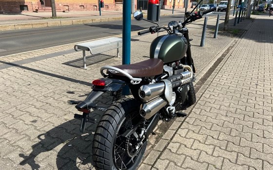 Neufahrzeug Triumph Scrambler 1200 X - Bild 3