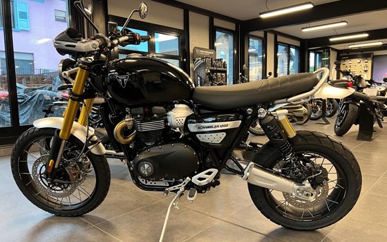 Neufahrzeug Triumph Scrambler 1200 XE - Bild 3