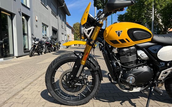 Neufahrzeug Triumph Scrambler 400 XC - Bild 6