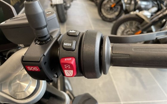 Gebrauchtmotorrad BMW F 900 R - Bild 12