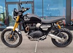 Angebot Triumph Scrambler 1200 XE
