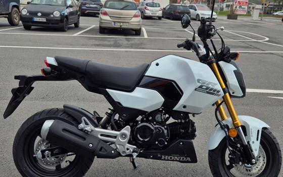 Neufahrzeug Honda MSX125 Grom - Bild 1