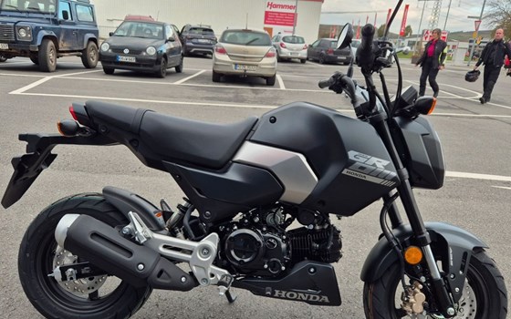 Neufahrzeug Honda MSX125 Grom - Bild 3