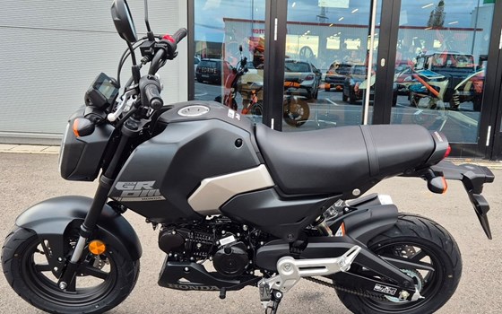 Neufahrzeug Honda MSX125 Grom - Bild 6