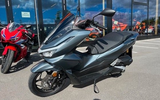 Neufahrzeug Honda PCX125 DX - Bild 4