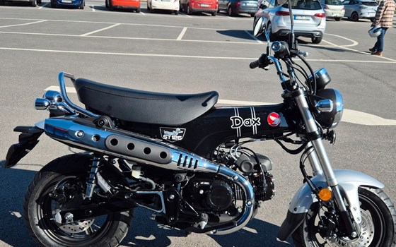 Neufahrzeug Honda Dax 125 - Bild 2