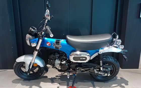 Neufahrzeug Honda Dax 125 - Bild 3