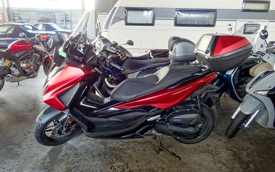Gebrauchtmotorrad Honda Forza 125 - Bild 3