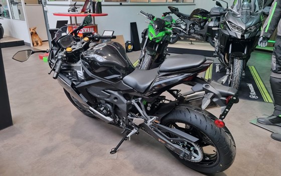 Neufahrzeug Kawasaki Ninja ZX-4RR - Bild 4