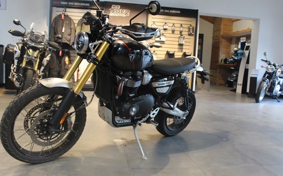 Gebrauchtmotorrad Triumph Scrambler 1200 XE - Bild 1