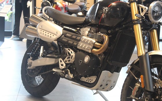 Gebrauchtmotorrad Triumph Scrambler 1200 XE - Bild 3