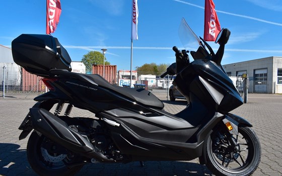 Neufahrzeug Honda Forza 350 - Bild 3