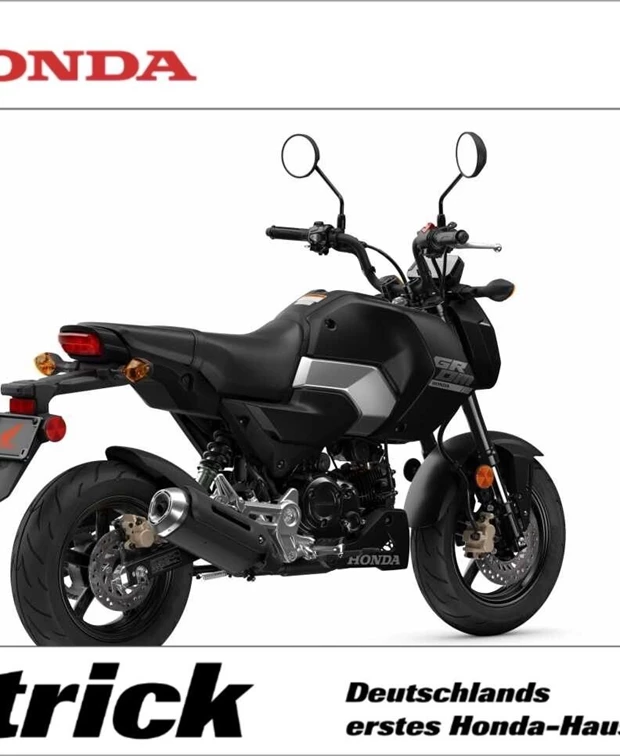 Honda MSX125 Grom<br />