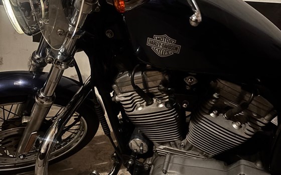 Gebrauchtmotorrad Harley-Davidson Sportster XL 883 - Bild 7 Gebrauchtmotorrad Harley-Davidson Sportster XL 883 - Bild 7