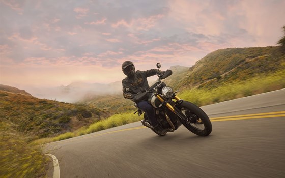 Gebrauchtmotorrad Triumph Scrambler 400 X - Bild 7