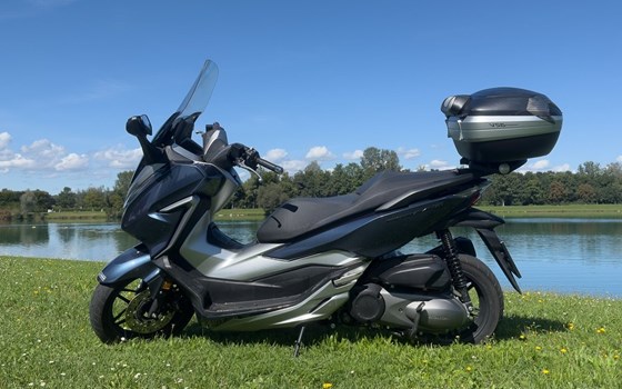 Gebrauchtmotorrad Honda Forza 300 - Bild 2