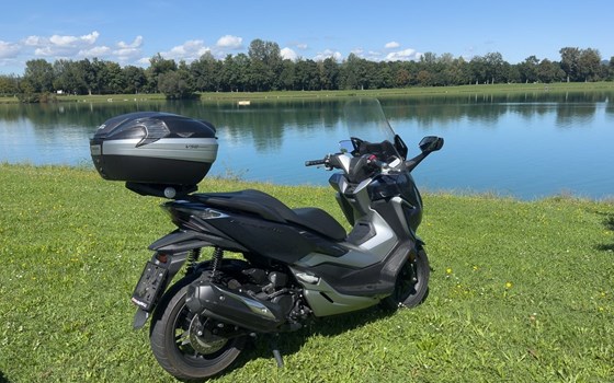 Gebrauchtmotorrad Honda Forza 300 - Bild 3