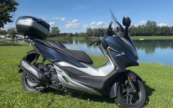 Gebrauchtmotorrad Honda Forza 300 - Bild 4