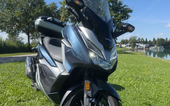 Gebrauchtmotorrad Honda Forza 300 - Bild 5