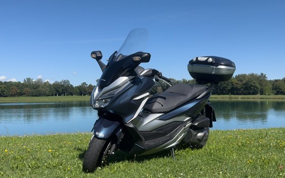 Gebrauchtmotorrad Honda Forza 300 - Bild 6