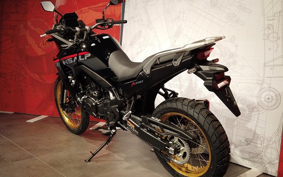 Neufahrzeug Honda XL750 Transalp - Bild 5