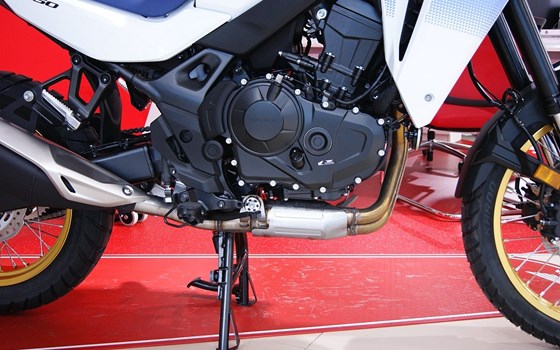 Neufahrzeug Honda XL750 Transalp - Bild 4 Neufahrzeug Honda XL750 Transalp - Bild 4