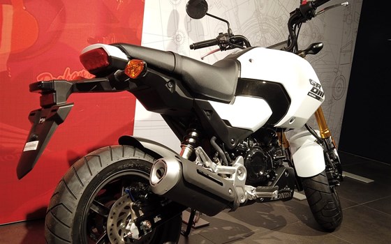 Neufahrzeug Honda MSX125 Grom - Bild 6