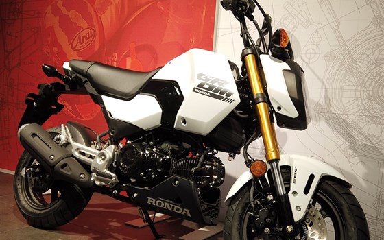 Neufahrzeug Honda MSX125 Grom - Bild 5