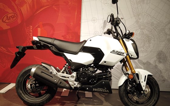 Neufahrzeug Honda MSX125 Grom - Bild 4