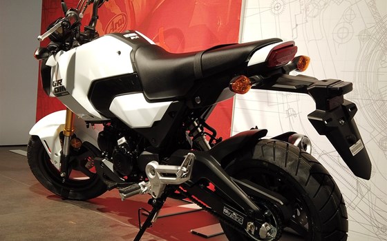 Neufahrzeug Honda MSX125 Grom - Bild 2