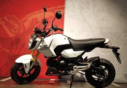 Neumotorrad Honda MSX125 Grom
