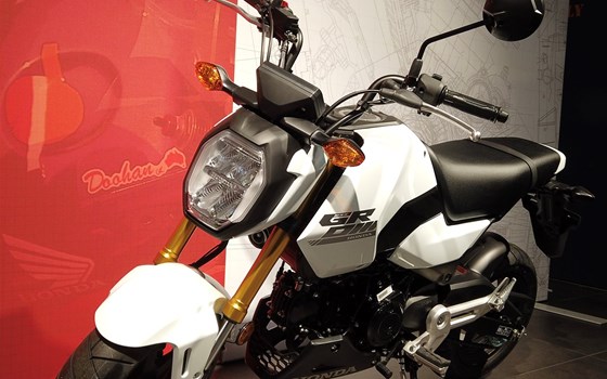 Neufahrzeug Honda MSX125 Grom - Bild 3