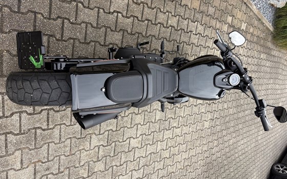 Gebrauchtmotorrad Harley-Davidson Softail Fat Bob 114 FXFBS - Bild 2 Gebrauchtmotorrad Harley-Davidson Softail Fat Bob 114 FXFBS - Bild 2