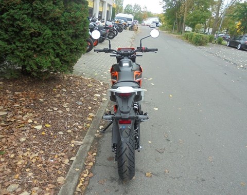 zum Vergrössern bitte anklicken!