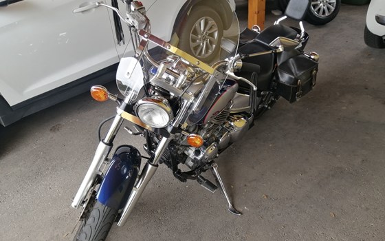 Gebrauchtmotorrad Yamaha XVS 650 Drag Star - Bild 2 Gebrauchtmotorrad Yamaha XVS 650 Drag Star - Bild 2