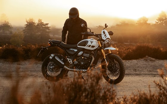Neufahrzeug Triumph Scrambler 400 XC - Bild 4