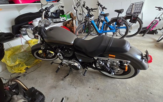 Motorrad Occasion Harley-Davidson Sportster XL 1200C Custom - Bild 5