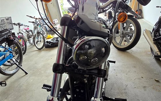 Motorrad Occasion Harley-Davidson Sportster XL 1200C Custom - Bild 6