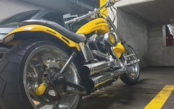 Motorrad Occasion Harley-Davidson Softail Custom FXSTC - Bild 1