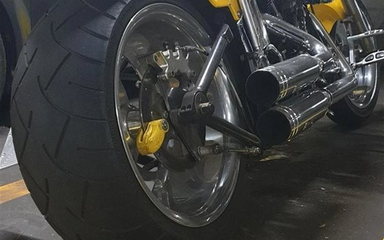 Motorrad Occasion Harley-Davidson Softail Custom FXSTC - Bild 5