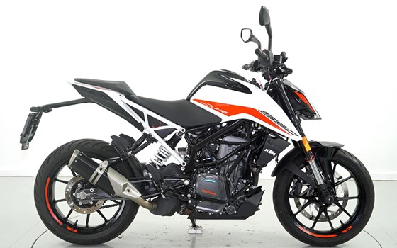 Motorrad Occasion KTM 390 Duke - Bild 4