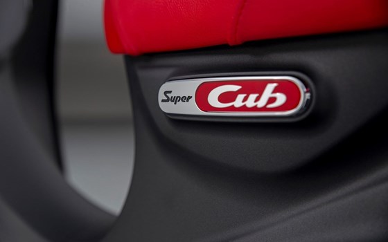 Neufahrzeug Honda Super Cub C 125 - Bild 13