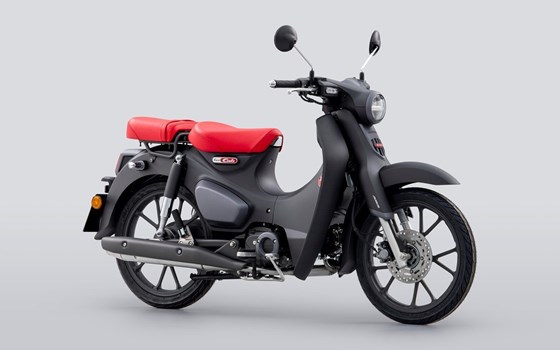 Neufahrzeug Honda Super Cub C 125 - Bild 2