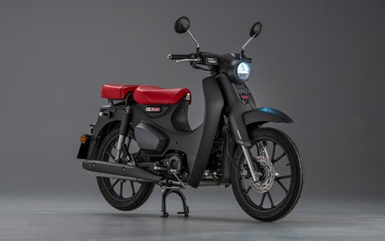 Neufahrzeug Honda Super Cub C 125 - Bild 6