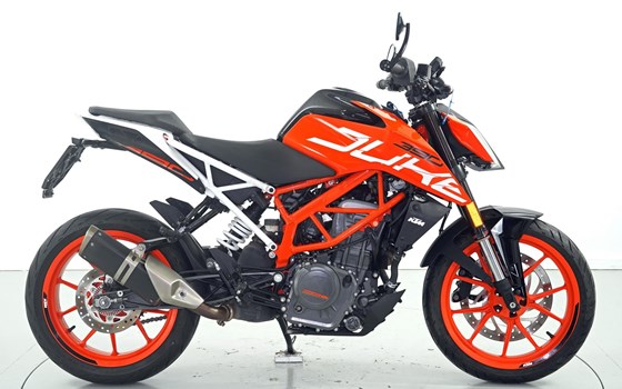 Motorrad Occasion KTM 390 Duke - Bild 4