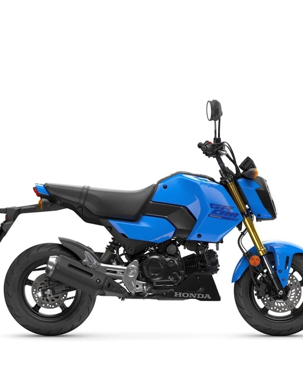 Honda MSX125 Grom<br />