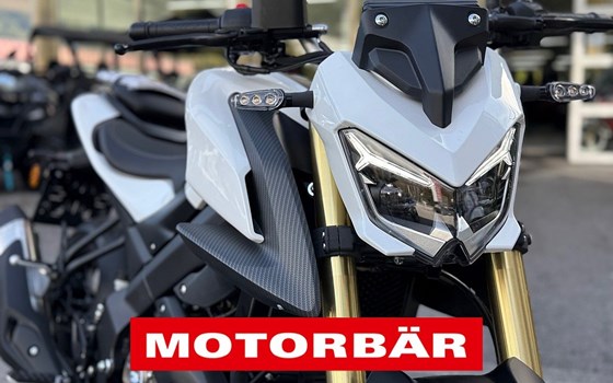 Neufahrzeug QJ Motor SRK 125 S - Bild 3