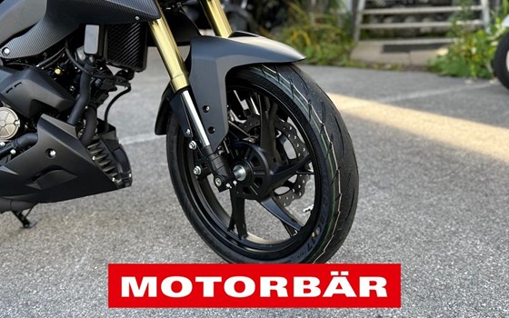 Neufahrzeug QJ Motor SRK 125 S - Bild 5 Neufahrzeug QJ Motor SRK 125 S - Bild 5