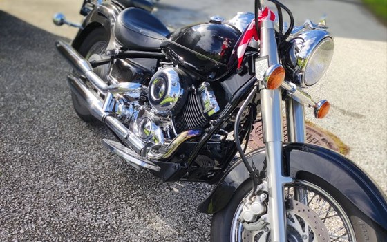 Gebrauchtmotorrad Yamaha XVS 650 Drag Star Classic - Bild 3 Gebrauchtmotorrad Yamaha XVS 650 Drag Star Classic - Bild 3